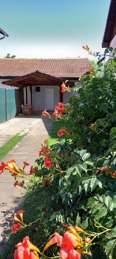 Lena! Apartment Kladovo Ngoại thất bức ảnh